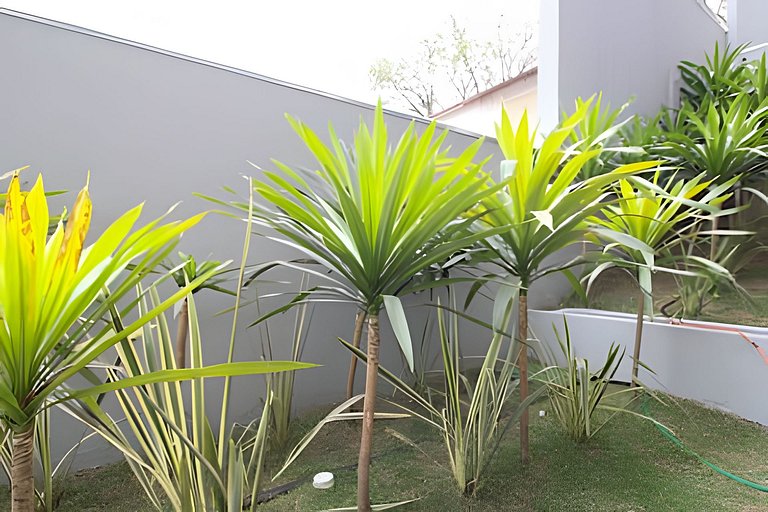 Apê Aconchegante Perdizes